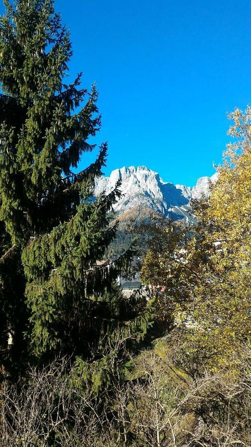 Balcone Sulle Dolomiti 2 Apartment Dosoledo Bagian luar foto