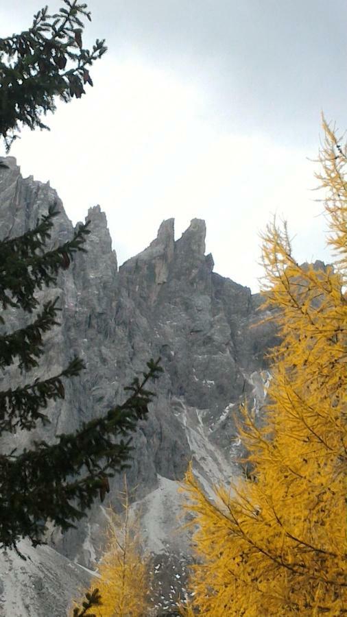 Balcone Sulle Dolomiti 2 Apartment Dosoledo Bagian luar foto